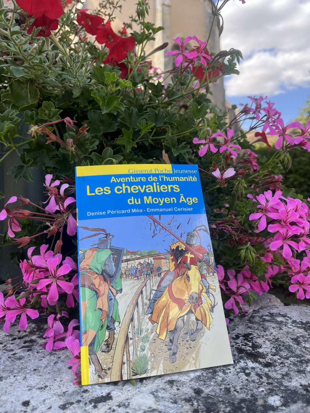 Les chevaliers du Moyen Âge