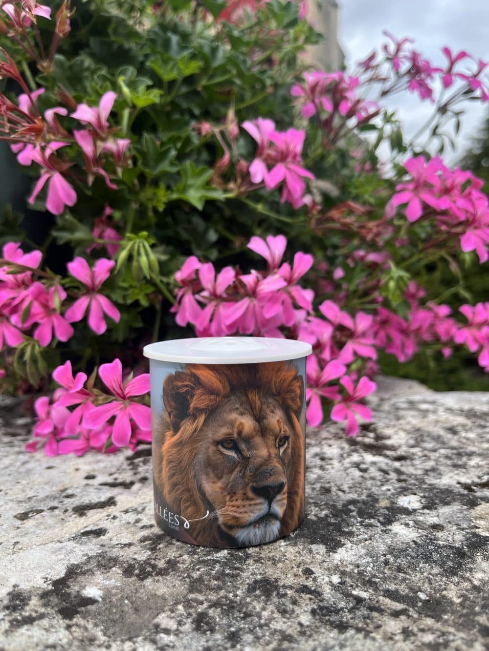 Boîte à son Lion