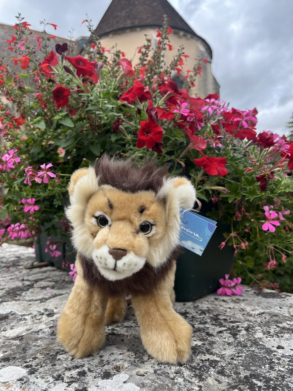 Peluche Lion